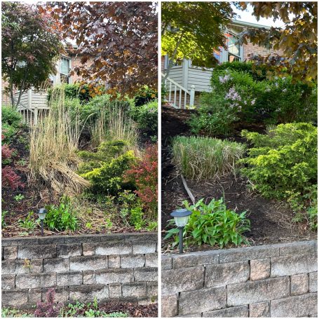 Ornamental grass cut and Leaf/debris removal